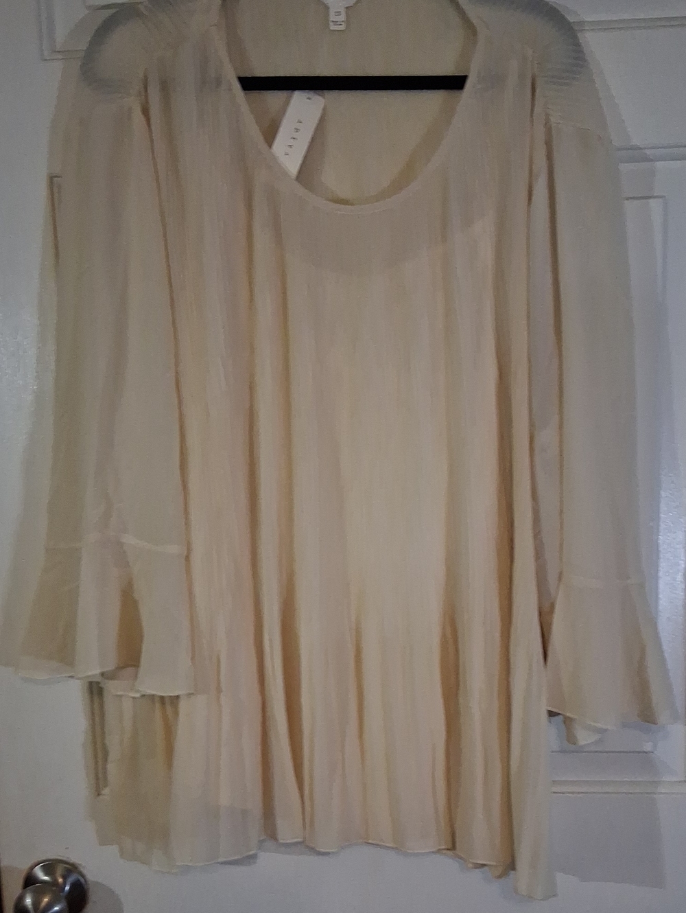 Adiva Sheer Pleated Cream Tunic Blouse
